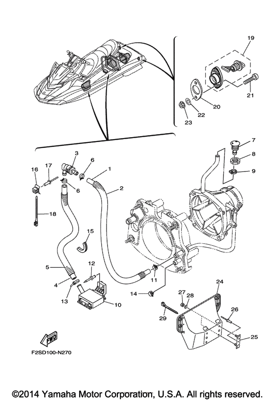 Hull & Deck