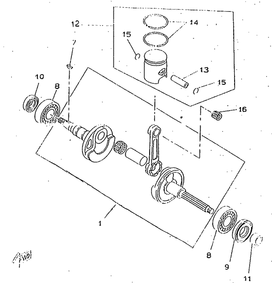 Crankshaft & Piston