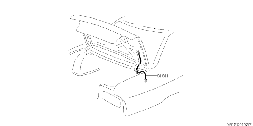 Cord (rear)