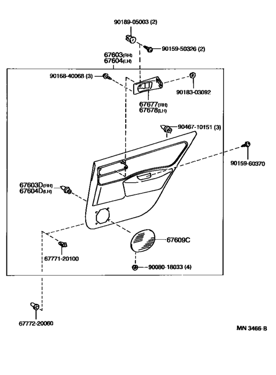 Rear Door Panel & Glass