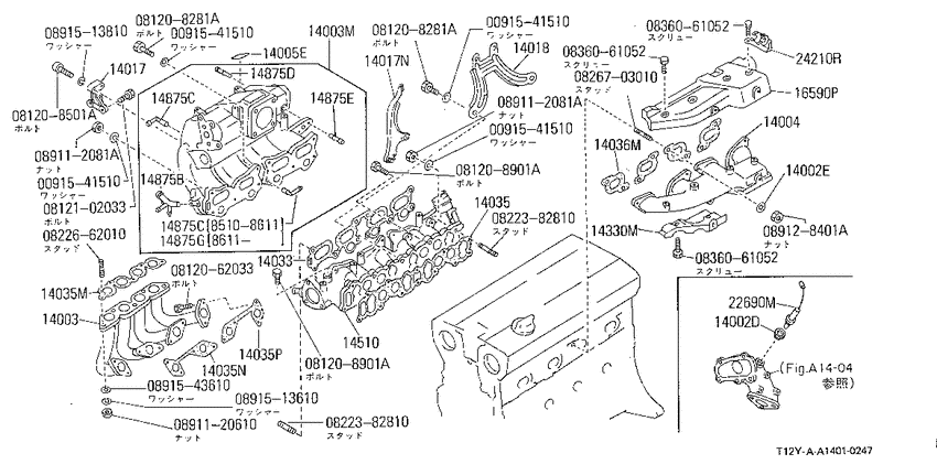 Manifold