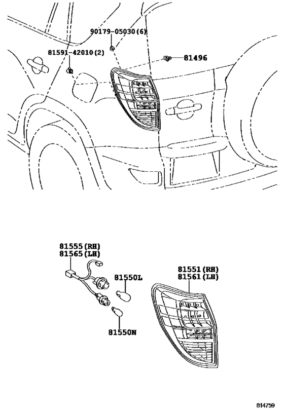 Rear Combination Lamp