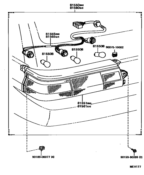 Rear Combination Lamp