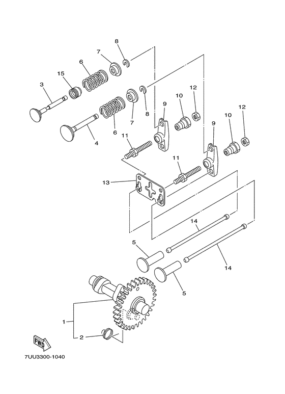 Camshaft & valve