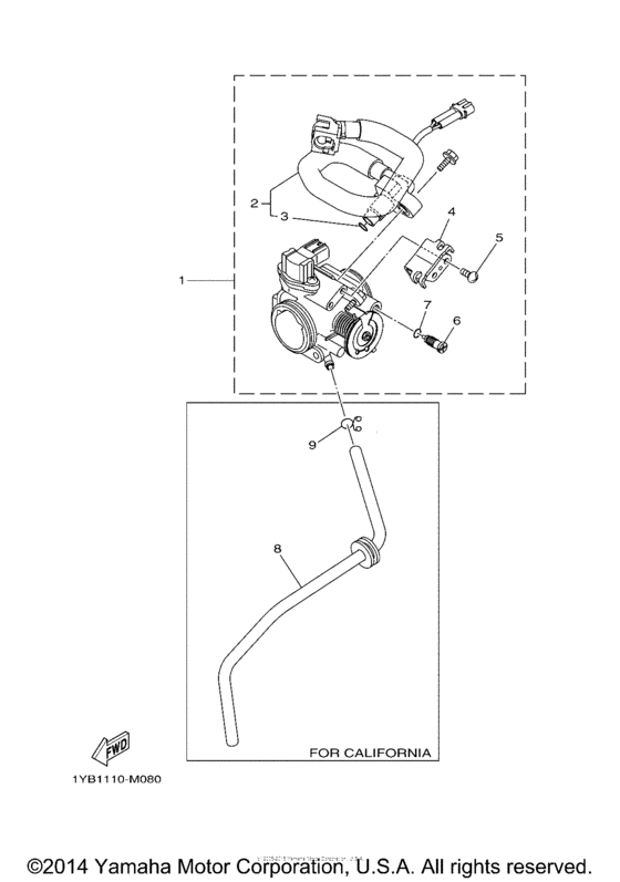 Intake