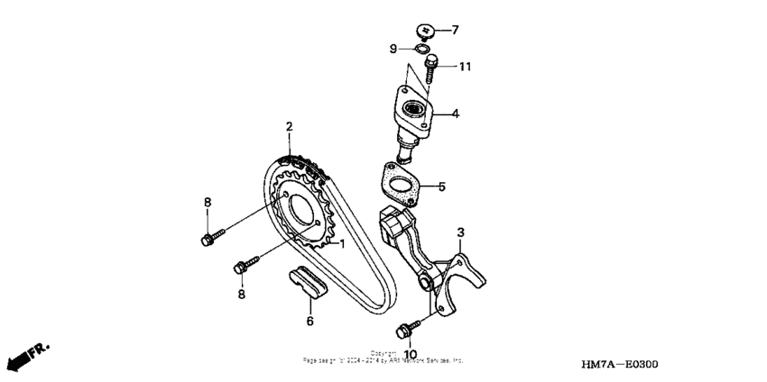 Cam chain + tensioner