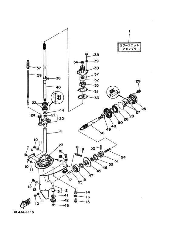 ﾛﾜ-ｹ-ｼﾝｸﾞ. ﾄﾞﾗｲﾌﾞ 1