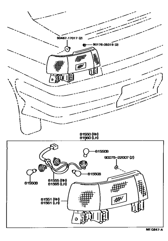 Rear Combination Lamp