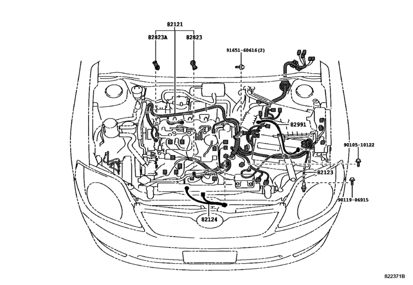 Wiring & Clamp