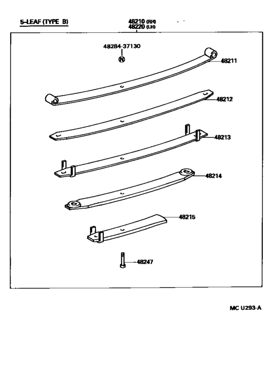 Rear Spring & Shock Absorber