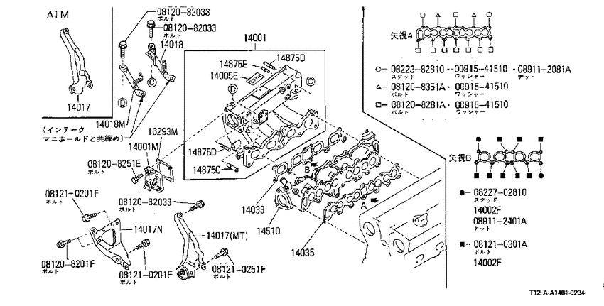 Manifold
