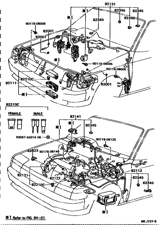 Wiring & Clamp