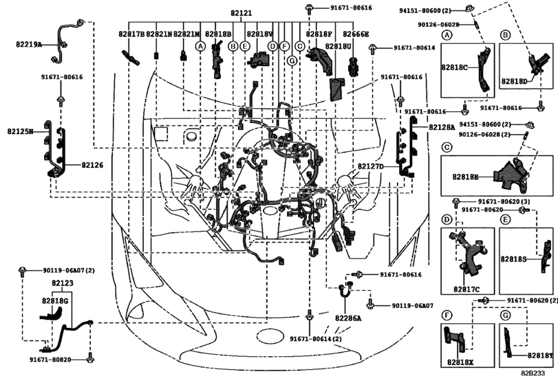 Wiring & Clamp