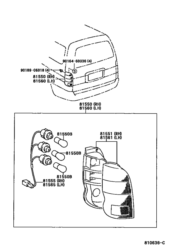 Rear Combination Lamp