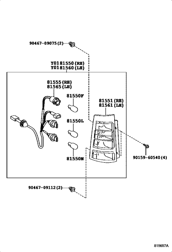 Rear Combination Lamp