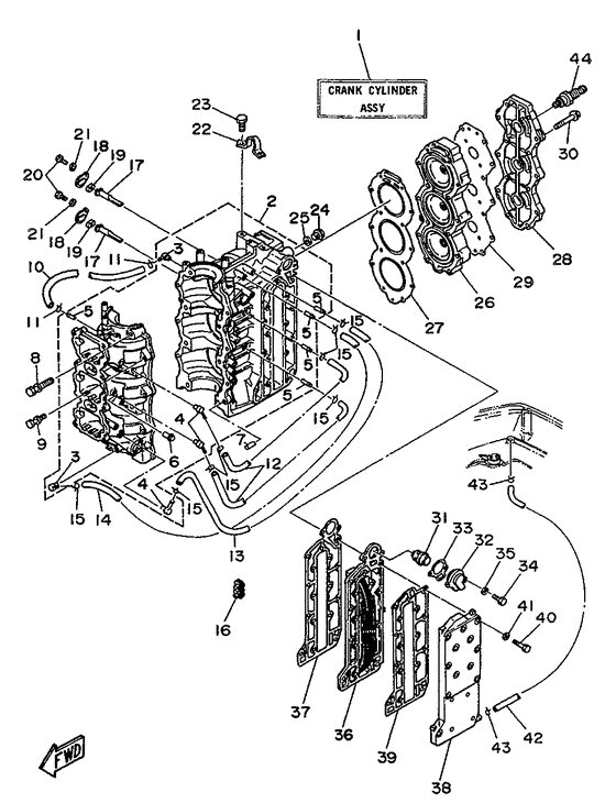 Cylinder. crankcase