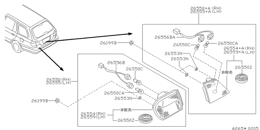 Rear combination lamp