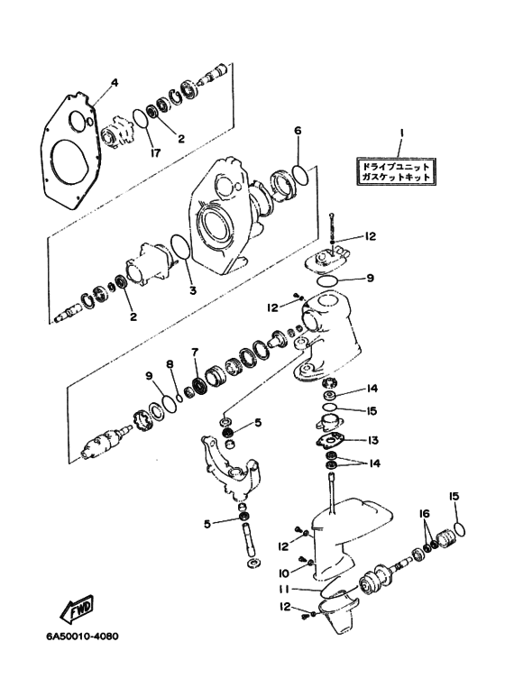 ﾘﾍﾟｱｷﾂﾄ