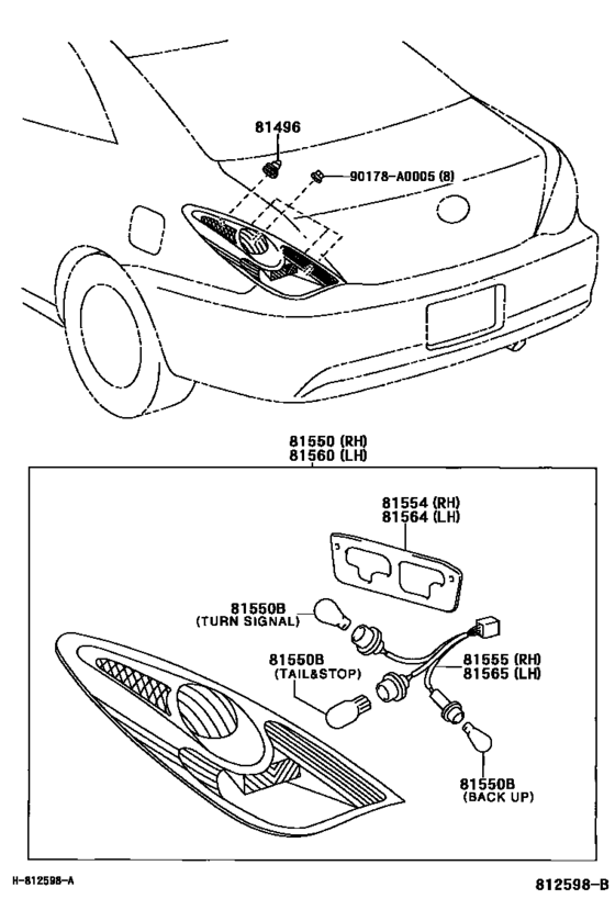 Rear Combination Lamp