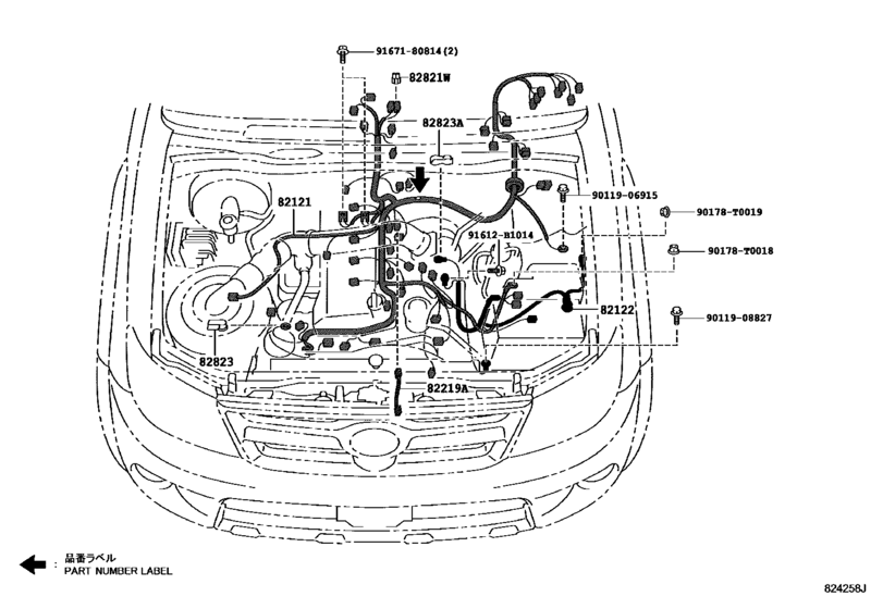 Wiring & Clamp