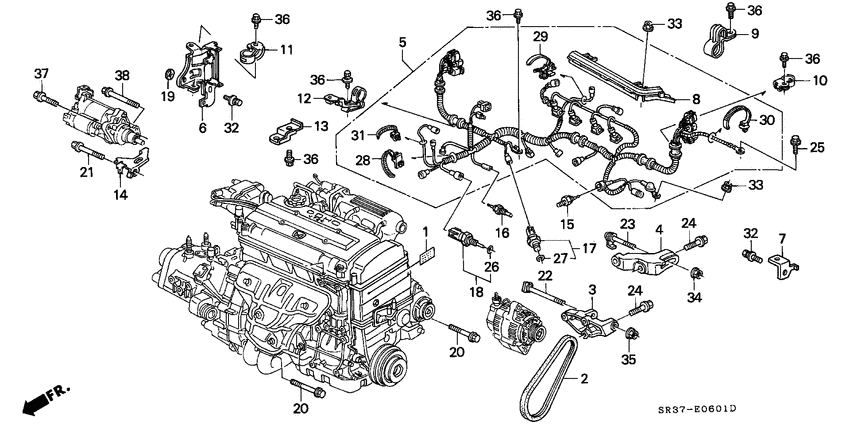 Engine wire harness/clamp