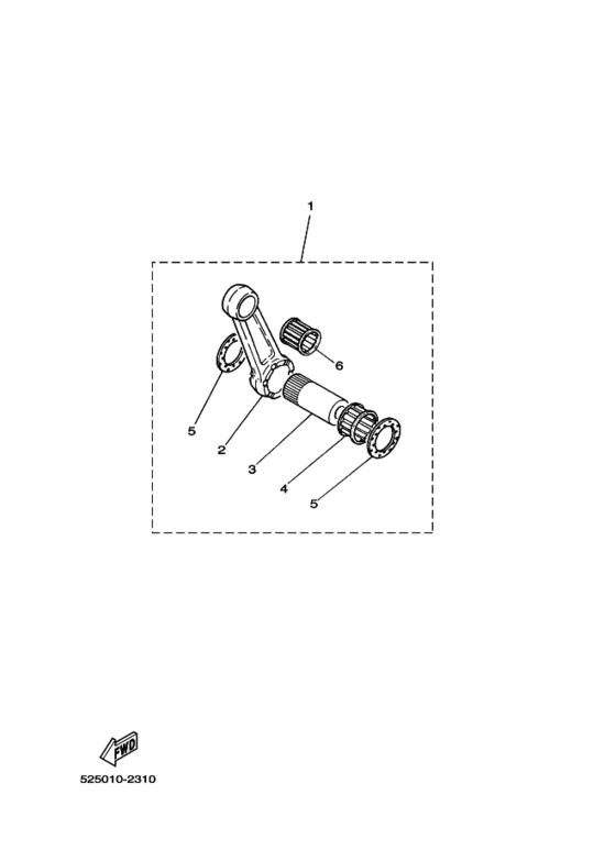 ﾘﾍﾟｱｷﾂﾄ