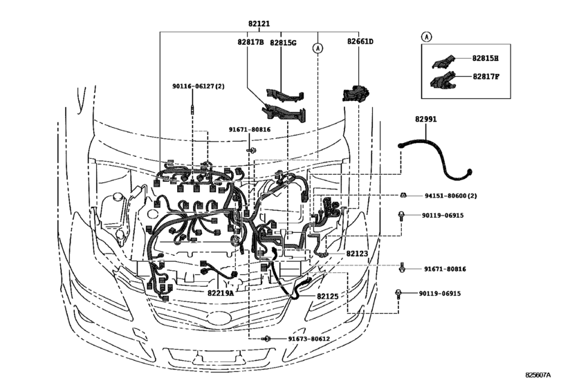 Wiring & Clamp
