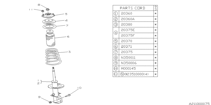 Rear strut (shock absorber)