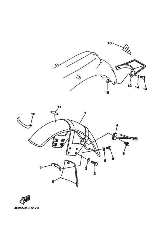 Fender