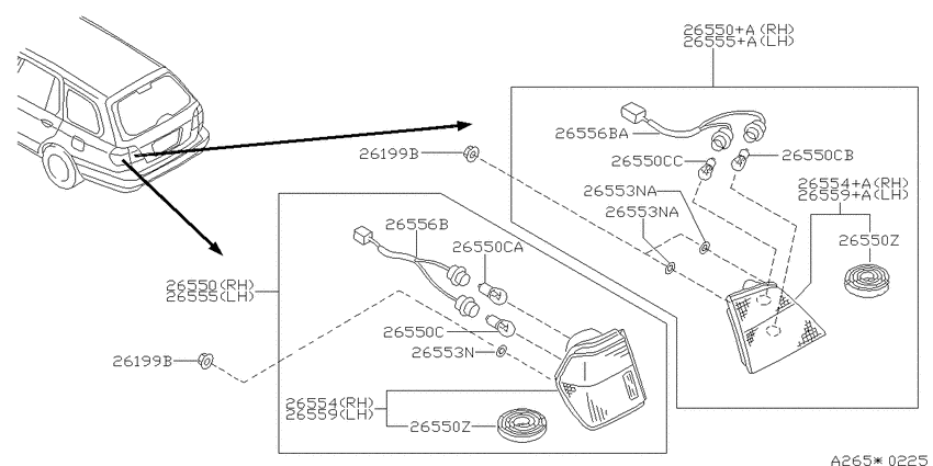 Rear combination lamp
