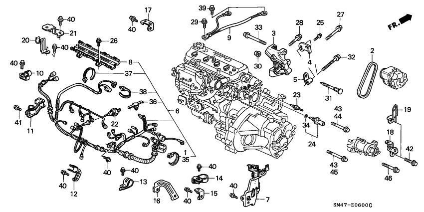Engine wire harness/clamp