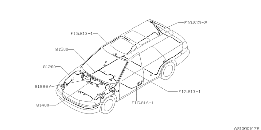 Wiring harness (main)