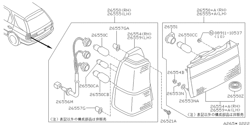 Rear combination lamp