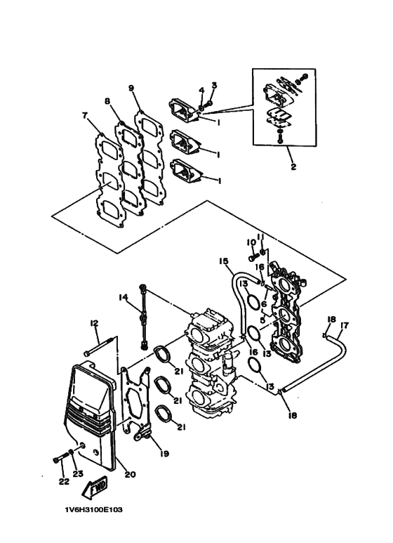 Intake