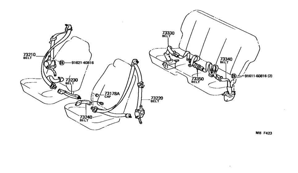 Seat Belt & Child Restraint Seat