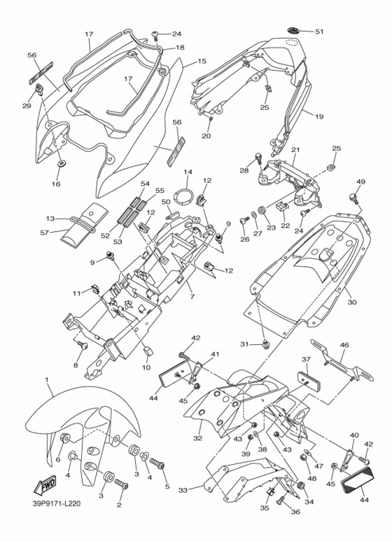 Fender
