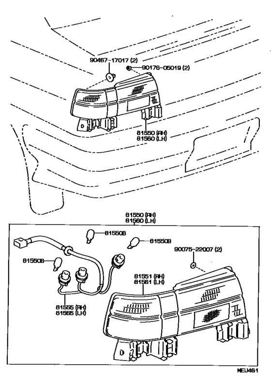Rear Combination Lamp