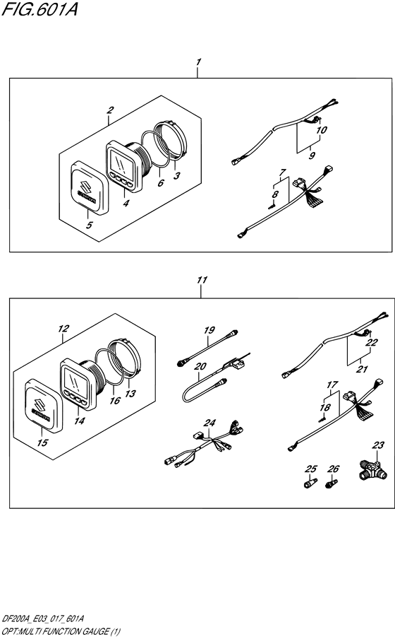 Opt:multi function gauge