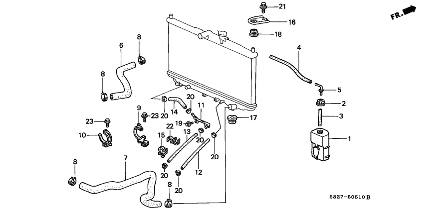 Radiator hose