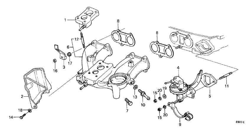 Carburetor insulator/ fuel pump