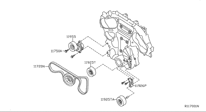 Fan,compressor & power steering belt