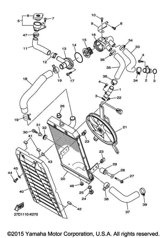 Radiator & hose