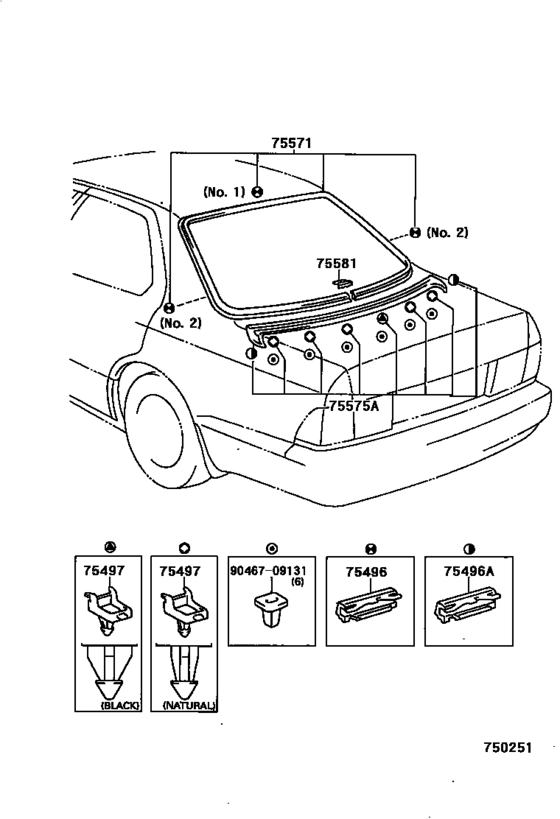 Rear Moulding