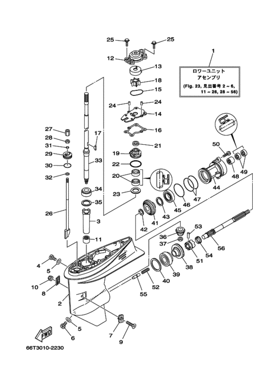 ﾛﾜ-ｹ-ｼﾝｸﾞ. ﾄﾞﾗｲﾌﾞ 1