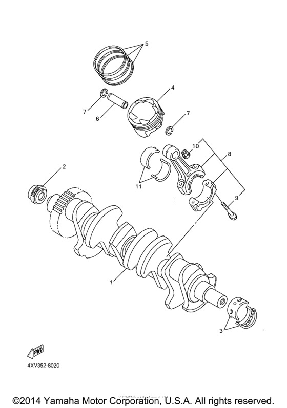 Crankshaft & Piston