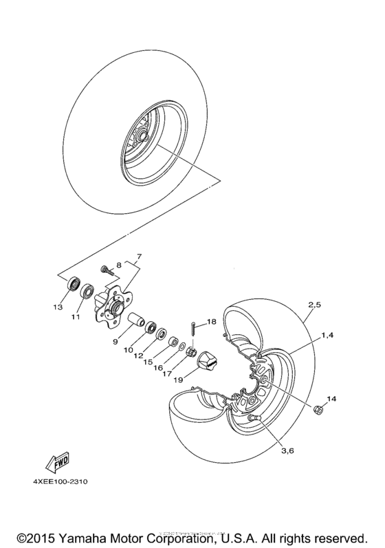Front wheel
