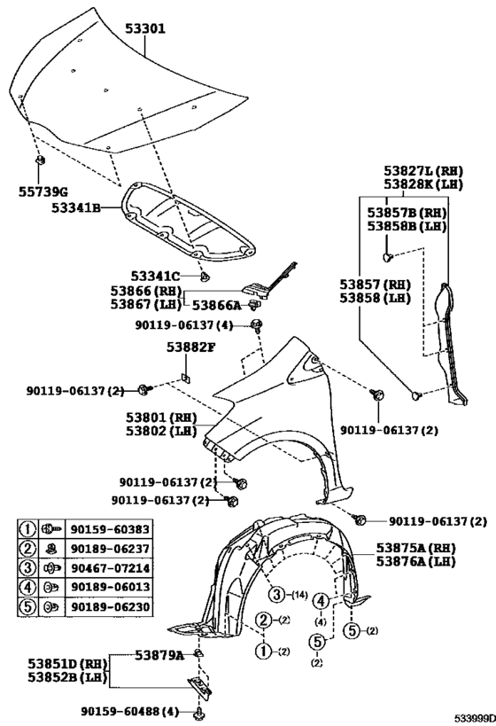 Hood & Front Fender