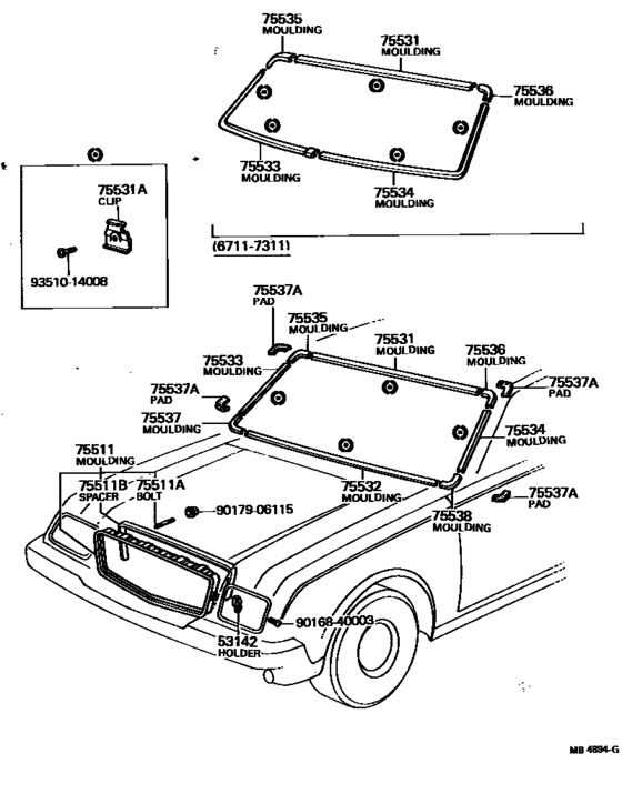 Front Moulding