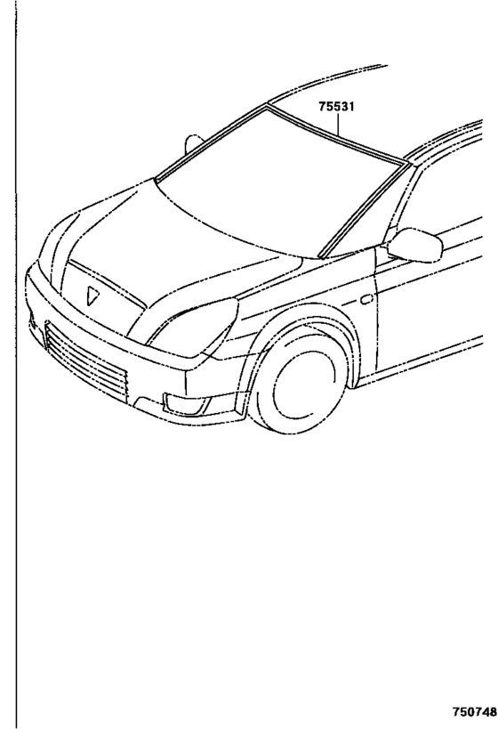 Front Moulding