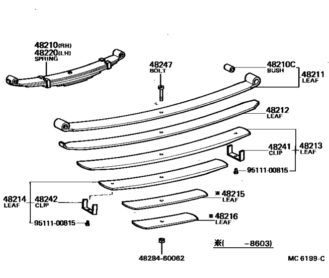 Rear Spring & Shock Absorber